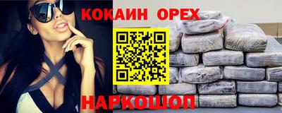 ешки Кингисепп