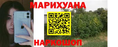 ешки Кингисепп
