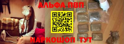 ешки Кингисепп