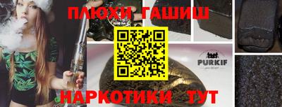 ешки Кингисепп