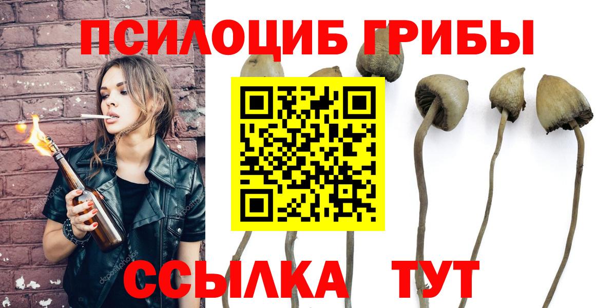 Миасс  Псилоцибиновые грибы MAGIC MUSHROOMS  Вход с VPN 
