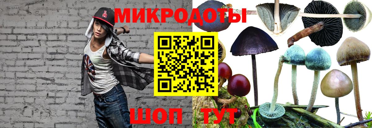 Галлюциногенные грибы GOLDEN TEACHER Миасс